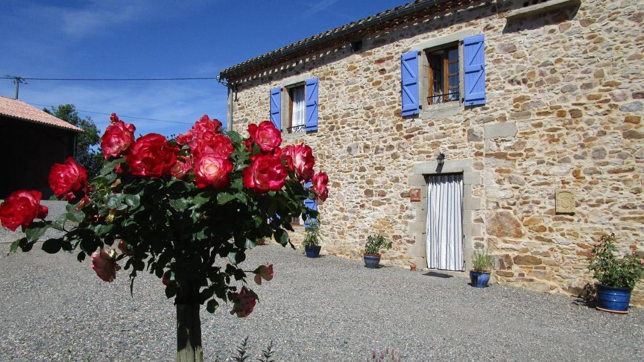Gites & Chambres D'Hotes Peyrecout Laparrouquial エクステリア 写真
